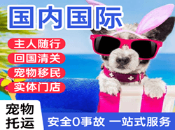 阿克苏红旗坡机场快递国际宠物托运 【国